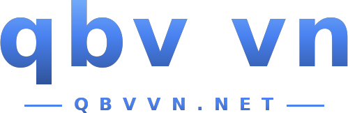 qbv vn logo
